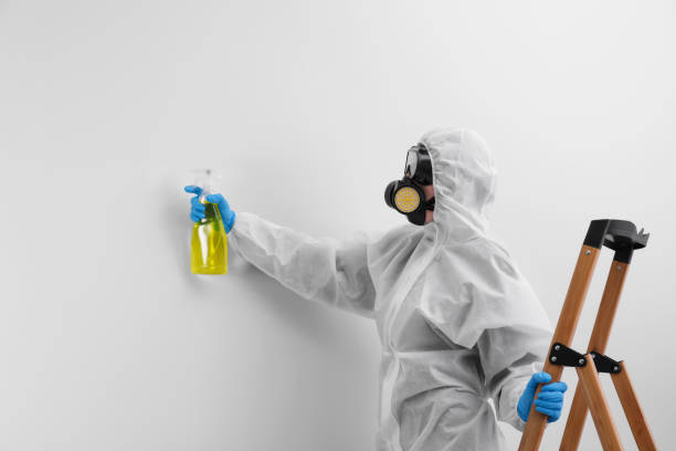 Best Environmental Consulting for Mold Prevention  in Jennings, MO